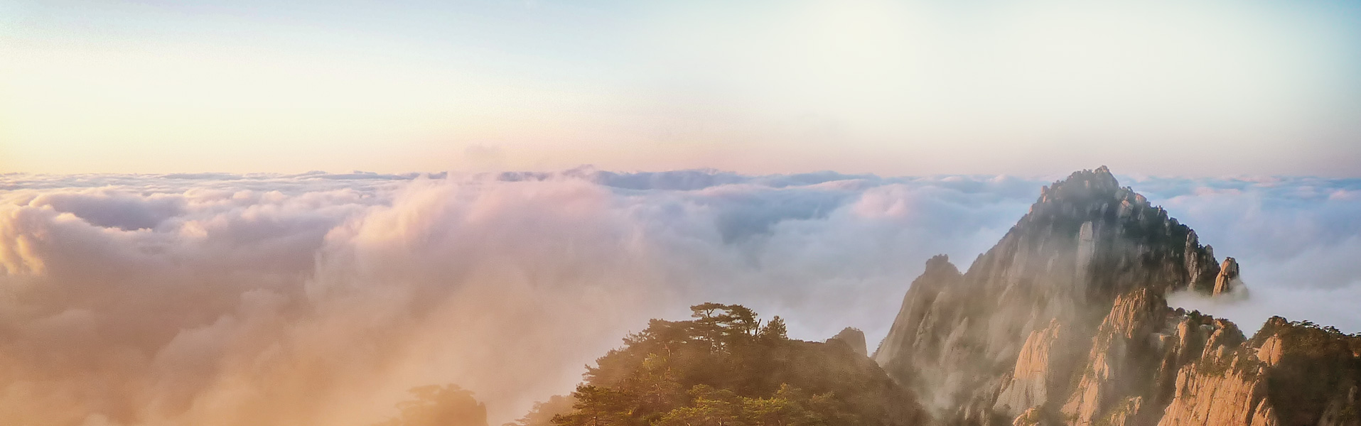 ά��������Ʒ��vic(����)�ٷ���վ